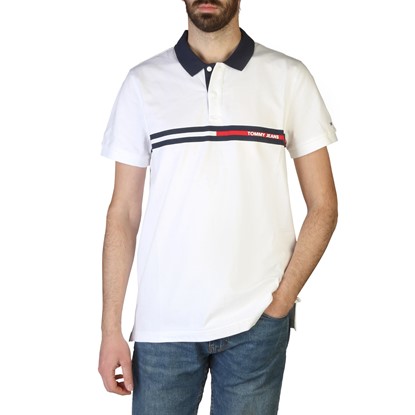 Tommy Hilfiger Polo 8720116697223