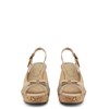  Laura Biagiotti Women Shoes 6046 Brown